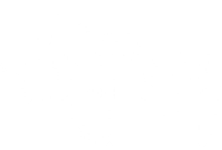 Texas Gutter Guys