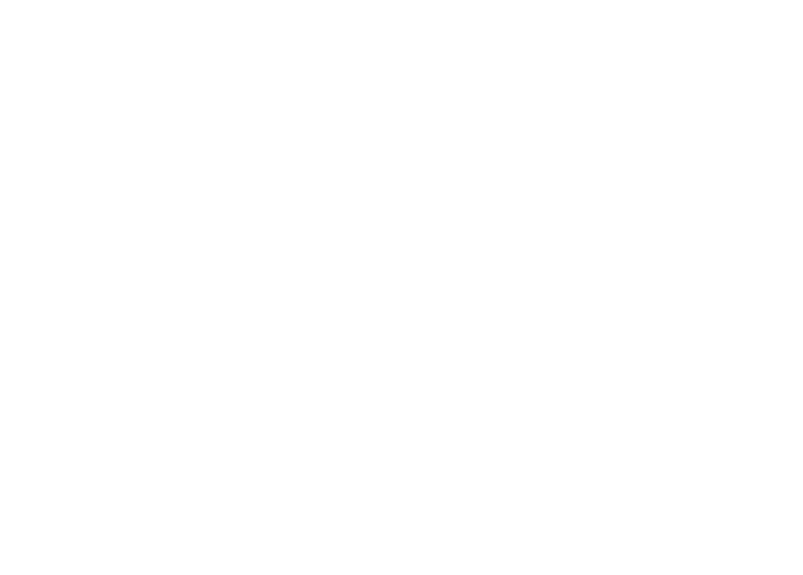 VP Engineering